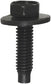 BODY BOLTS