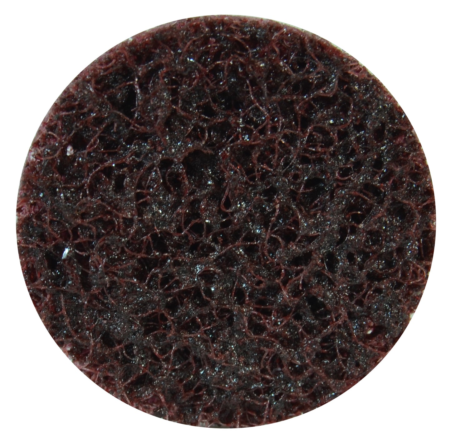 3M Scotch-Brite™ Surface Conditioning Disc - 1" - Coarse
