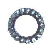 M6 Din 6798A Zinc Plated Steel External Serrated Star Lock Washer