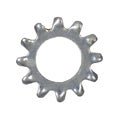 #6 Zinc Steel External Tooth Lock Washer