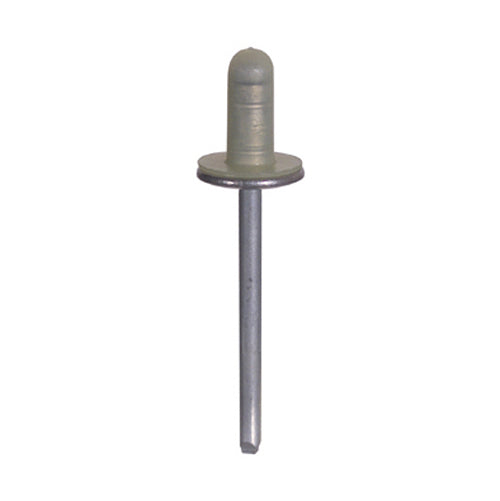 SPECIALTY AUTOMOTIVE RIVETS