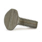 1/4-20 x 3/4 Inch Coarse 18-8 Stainless Steel Thumb Screw