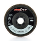 FLAP DISCS