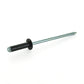 SPECIALTY AUTOMOTIVE RIVETS