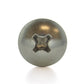 #6-32 x 1/4 Inch Coarse Plain 18-8 (A2) Stainless Steel #2 Phillips Drive Truss Head Machine Screw