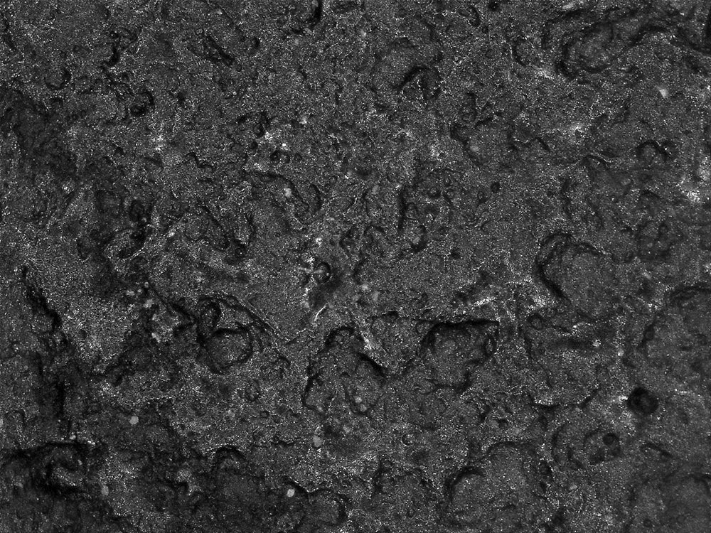 Panther-Guard Nitrile Powder-Free Industrial Black 8-Mil Textured Fingertips Disposable Gloves Medium