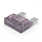 100 Amp Maxi Smart Glow Fuse Violet