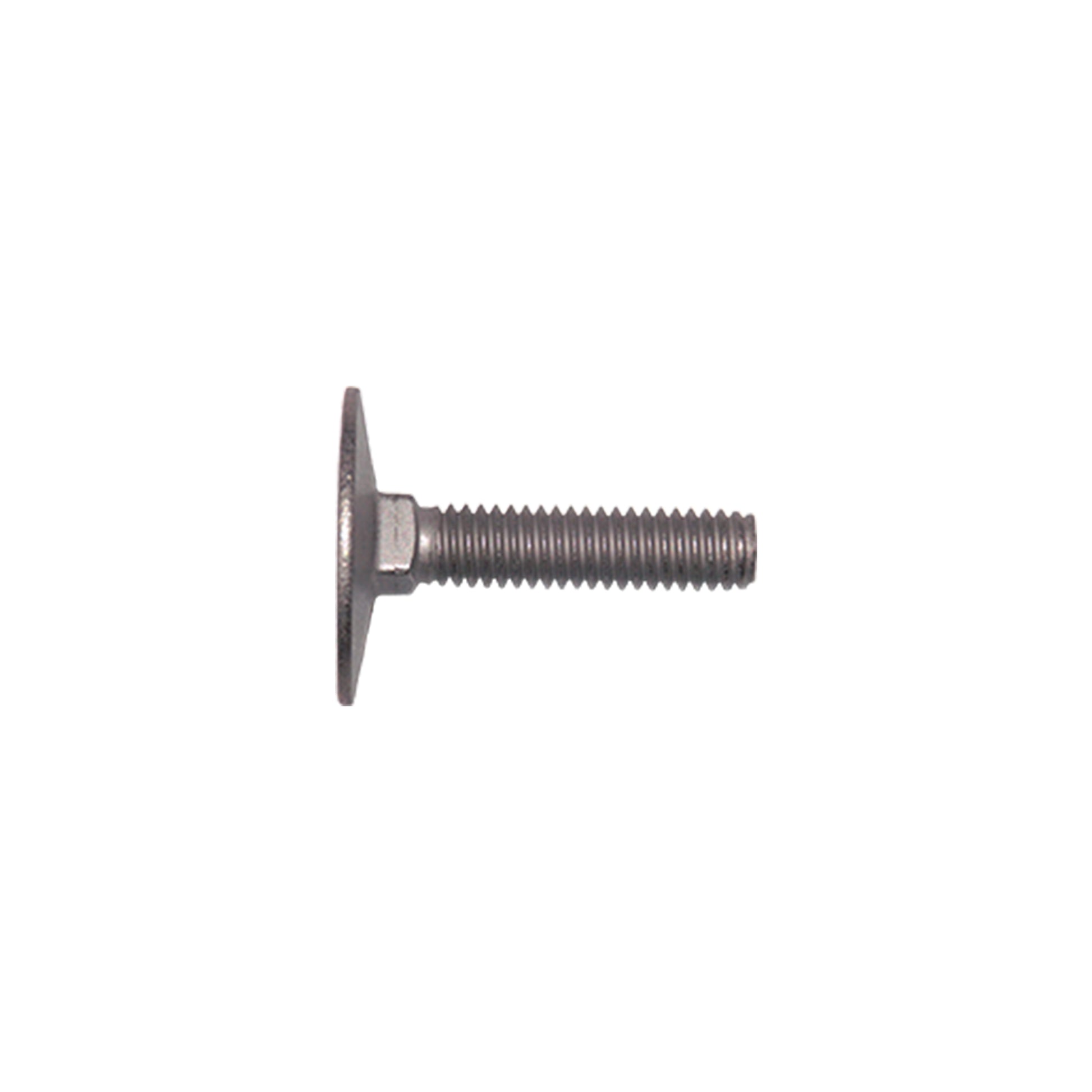 Stainless Steel 18-8 Elevator Bolt #1 Head 1/4-20 x 2