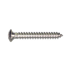 M4.2 x 1.41 x 30 mm Chrome Stainless Steel Torx Oval Washer Head Trim Screw