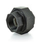 1/4" Schedule 40 Female NPT Black Welded Malleable Iron GGround Joint Union USA