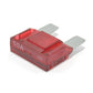 50 Amp Maxi Smart Glow Fuse Red